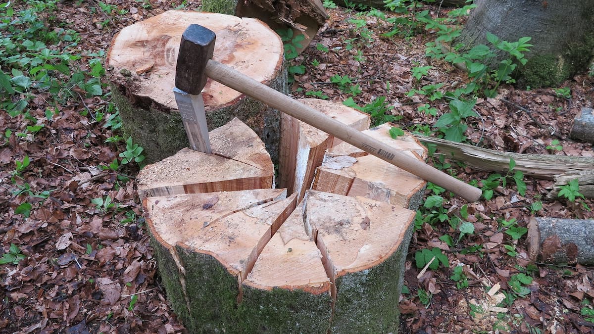 Split hickory firewood with distinctive tight grain and tan-brown bark — the highest-BTU common hardwood species